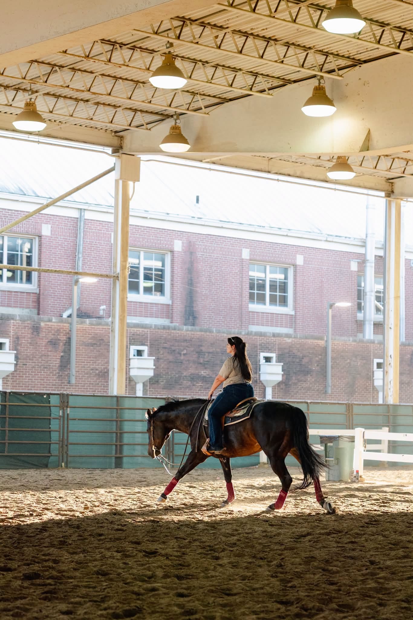 Rider on a brown horse in an indoor riding arena
